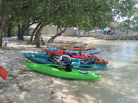 Kayaks lined up on beach