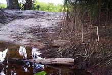 The Railway trestles appear in the island construction at low water.
