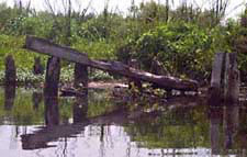 Trestles at low water - south end of Little Sawgrass.