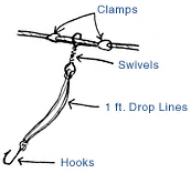 How to Make a Trot Line
